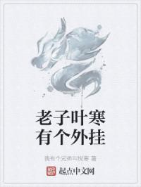 老子叶寒有个外挂