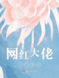 网红大佬与小萌新