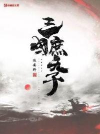 三国庶天子