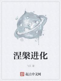 涅槃进化