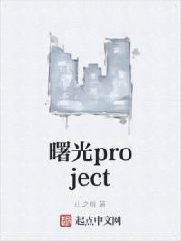 曙光project
