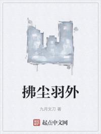 拂尘羽外
