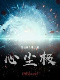心尘极