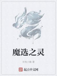 魔选之灵