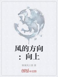 风的方向：向上