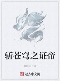 斩苍穹之证帝
