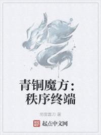 青铜魔方：秩序终端