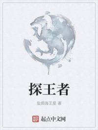 探王者