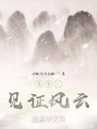 霹雳之见证风云