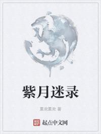 紫月迷录