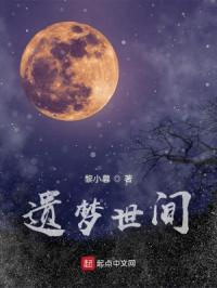 遗梦世间
