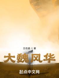 大魏武侯