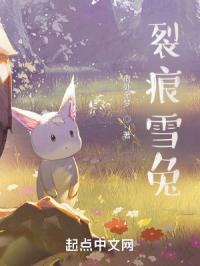 裂痕雪兔
