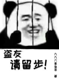盗友请留步！