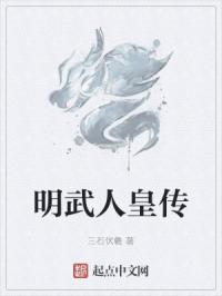 明武人皇传