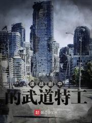 谍战剧中的武道特工