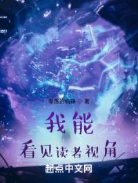 我能看见读者视角