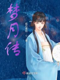 梦月传
