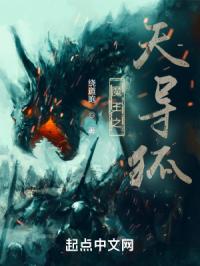 魔王之天导狐