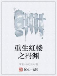 重生红楼之冯渊