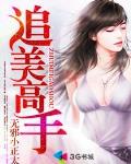 追美高手