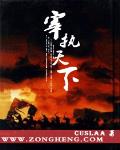 宰执天下
