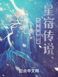 星宿传说第一部