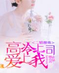 二婚缠绵：高冷上司爱上我