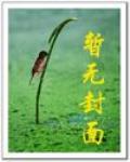 媚者无双
