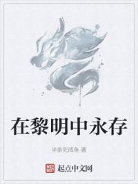 黎明时序