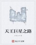 天王巨星之路