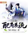 完美配角系统