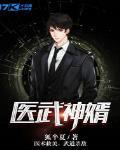 医武神婿