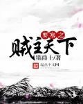 要塞之贼主天下