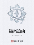 谜案追凶