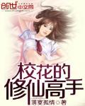 校花的修仙高手