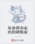 从金黄市走出的训练家
