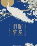 昭奚旧草