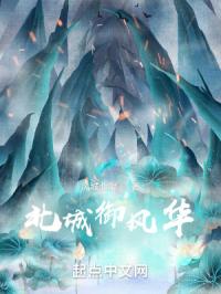 北城御风华