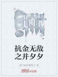 抗金无敌之并夕夕